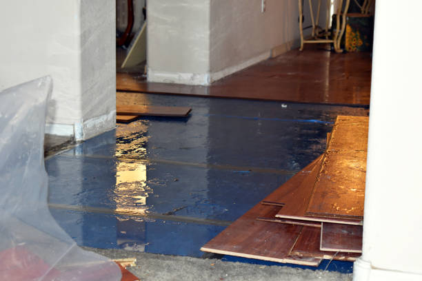 Professional Water Damage technician working in Rosholt, WI